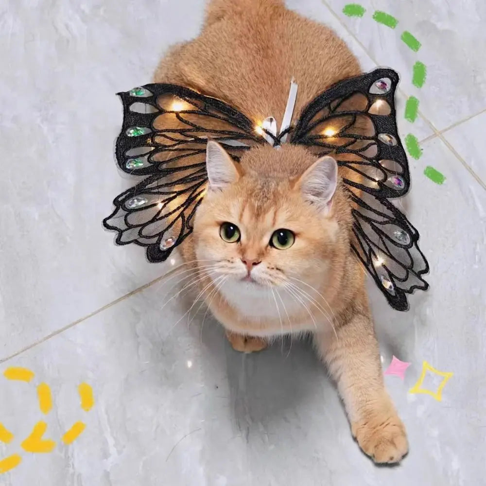 Dog Wings Glowing Butterfly Pet Back Decoration Cute Cat Accessories Dog Clothes for Small Medium Pet Supplies