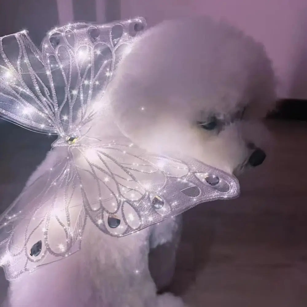 Dog Wings Glowing Butterfly Pet Back Decoration Cute Cat Accessories Dog Clothes for Small Medium Pet Supplies